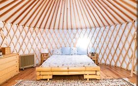 Una Yurta Fra Gli Ulivi E Il Mare